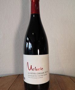 Alternative view of Saumur Puy-Notre-Dame, Clos de la Cerisaie, Mélaric, 2020