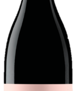Alternative view of Domaine Vincent Delay VENTOUX 2024 Ganymède