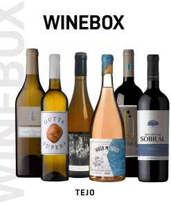 Caisse de vin Région Tejo