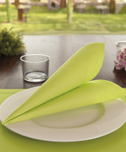 Serviettes ecolabel vert anis  39×39 CM x 50 unités