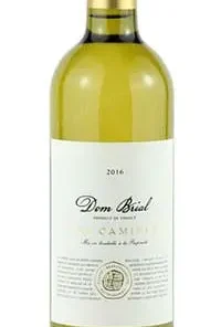 Alternative view of Dom Brial – Les Camines Blanc