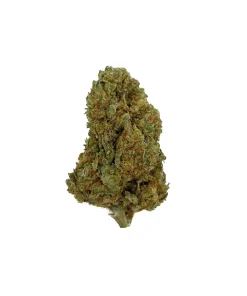 Jack Herer CBD + 7% HHCPO – Glass-House