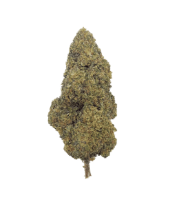 Zkittlez CBD + 10% THCPO – Glass-House